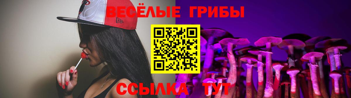 Галлюциногенные грибы Psilocybe Муром